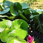 Il Poggetto Di Barbara - Casa Bianca Дом отдыха *
