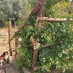 Il Poggetto Di Barbara - Casa Bianca *